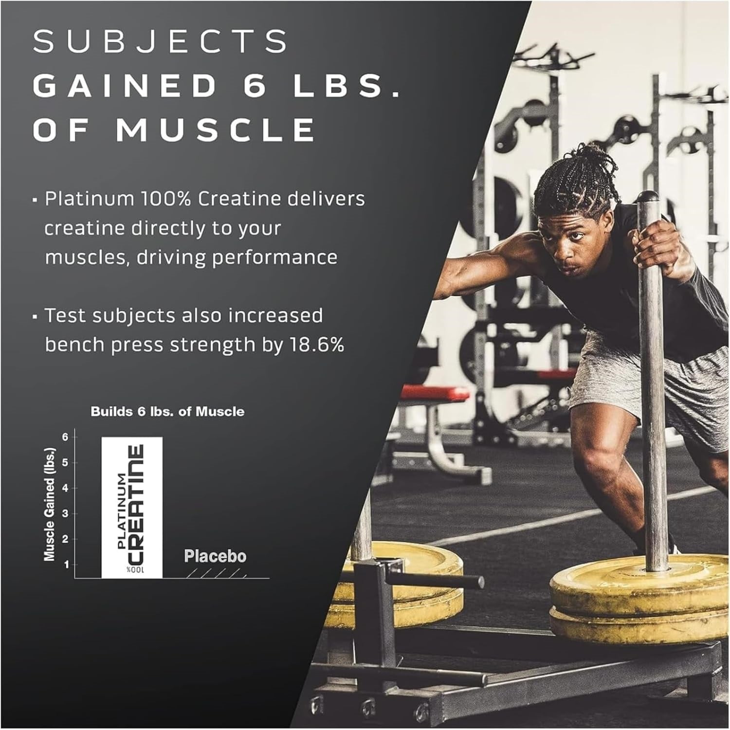 MuscleTech Platinum 100% Creatine Monohydrate Powder, 400g6